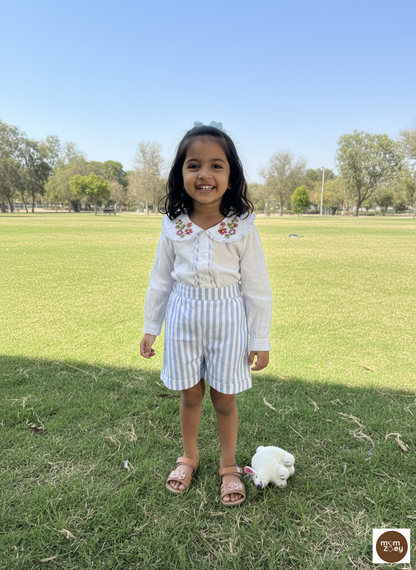 Capri Blouse and Nice Shorts