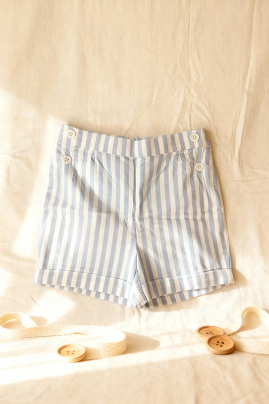 Capri Blouse and Nice Shorts